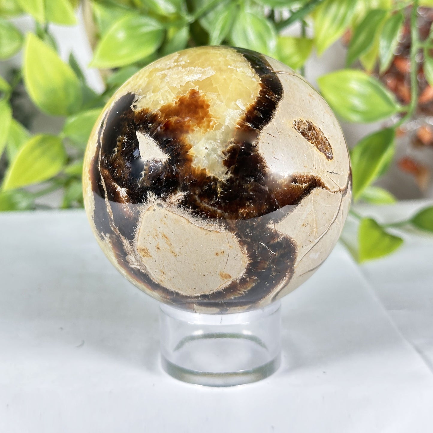 Polished Septarian Crystal Sphere - Gem Avenue Retail