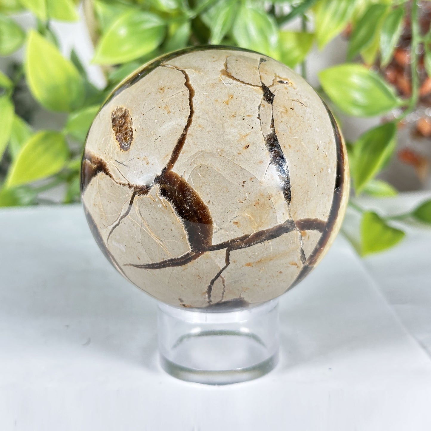 Polished Septarian Crystal Sphere - Gem Avenue Retail