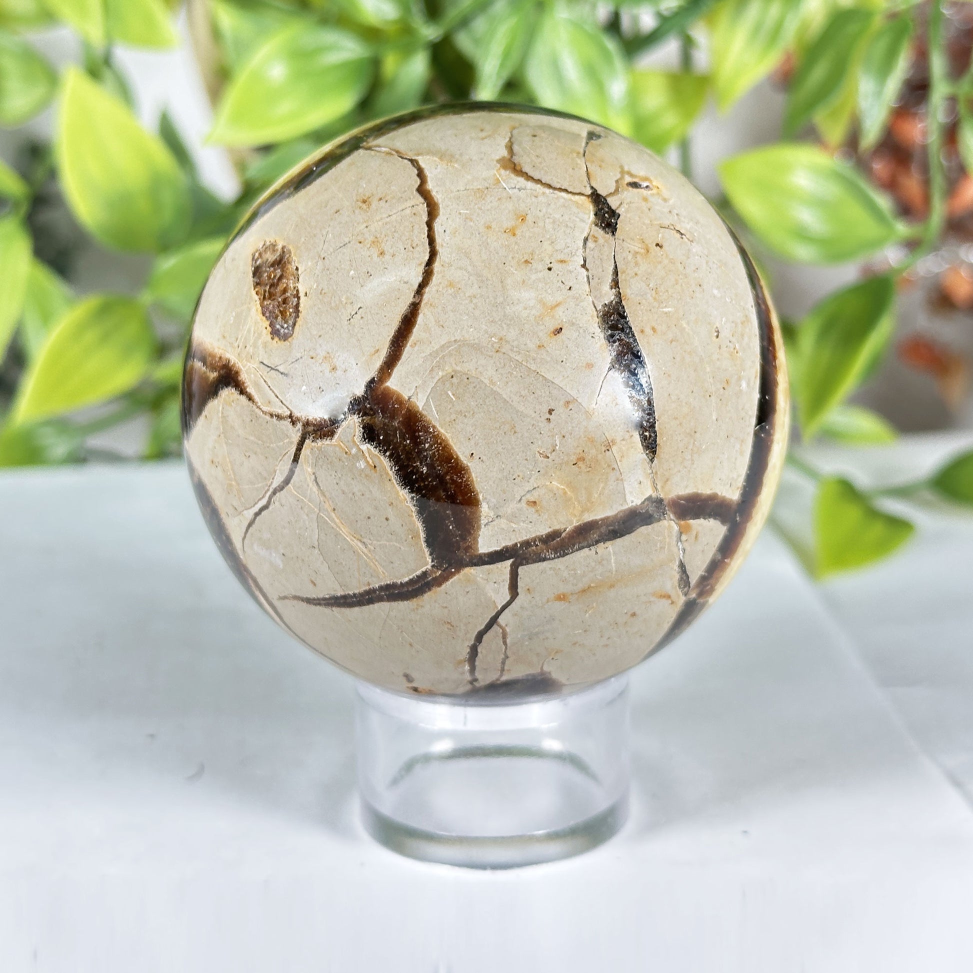 Polished Septarian Crystal Sphere - Gem Avenue Retail