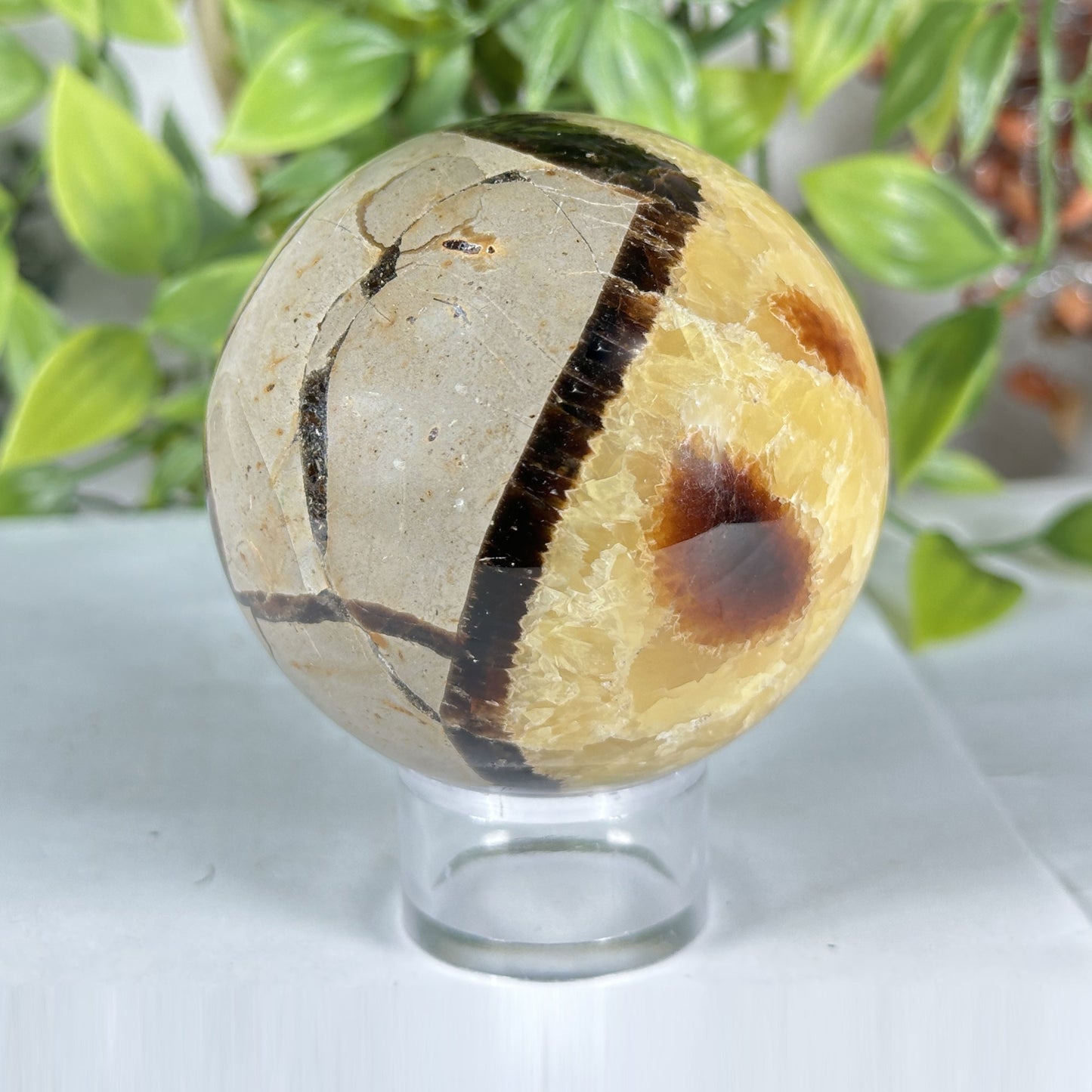 Polished Septarian Crystal Sphere - Gem Avenue Retail