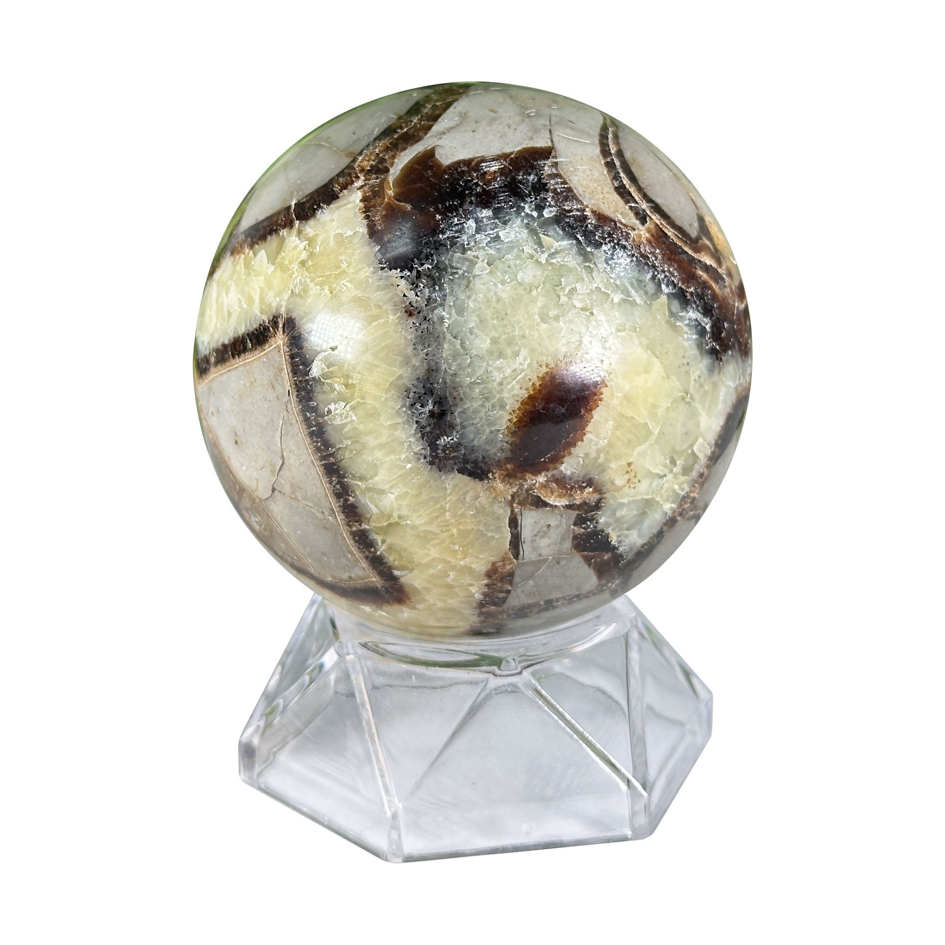 Polished Septarian Crystal Sphere - Gem Avenue Retail