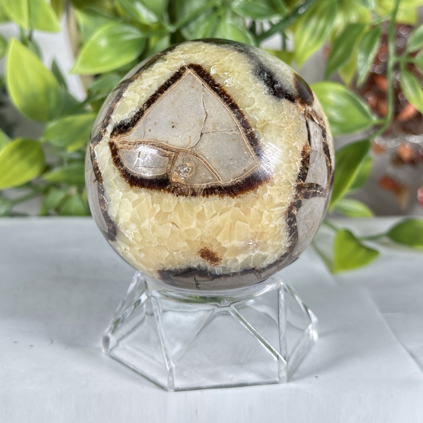 Polished Septarian Crystal Sphere - Gem Avenue Retail