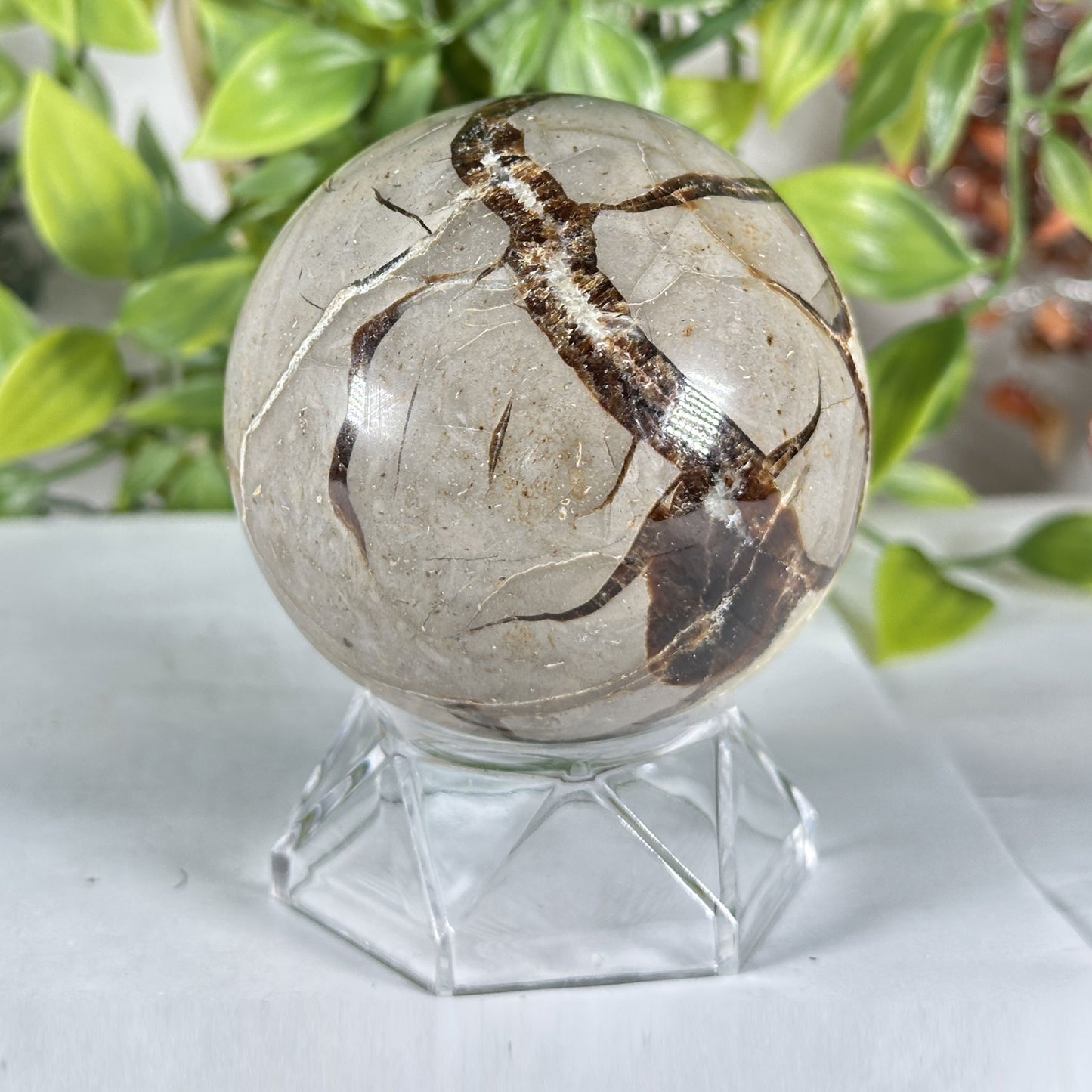 Polished Septarian Crystal Sphere - Gem Avenue Retail