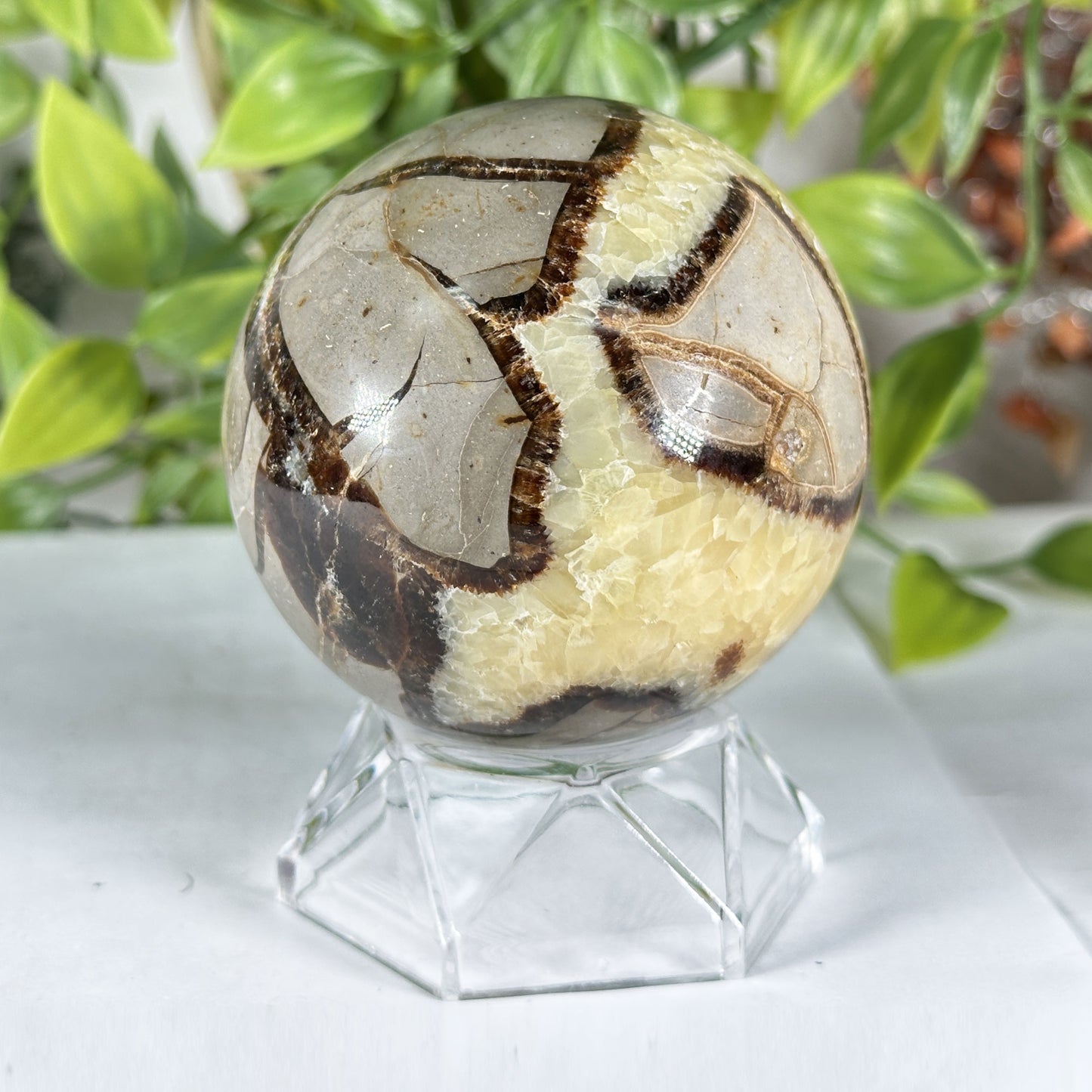 Polished Septarian Crystal Sphere - Gem Avenue Retail