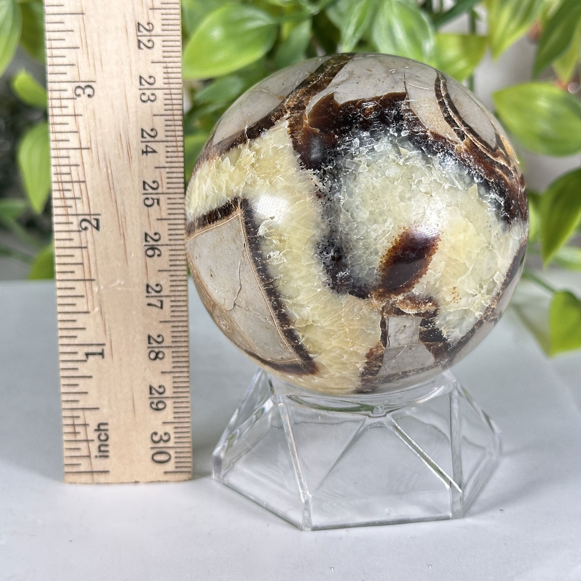 Polished Septarian Crystal Sphere - Gem Avenue Retail