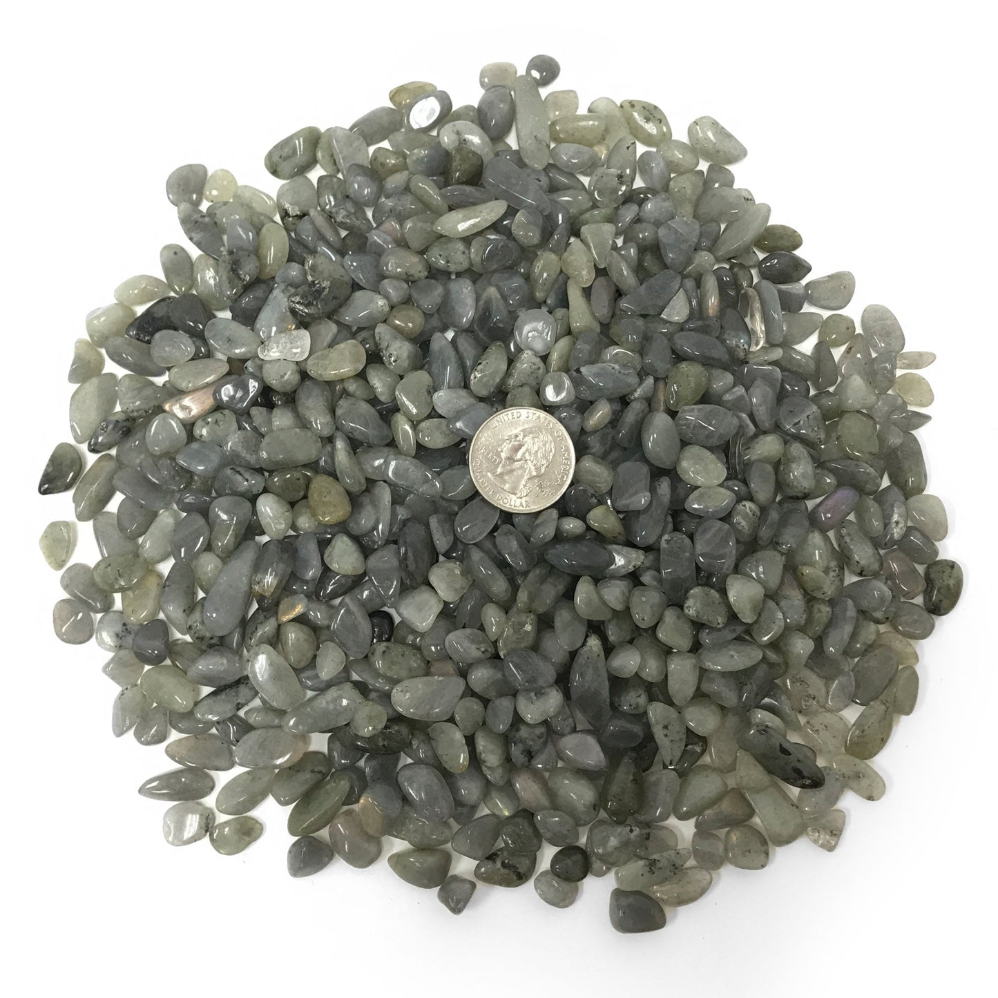 Natural Labradorite Tumbled Chips - Gem Avenue