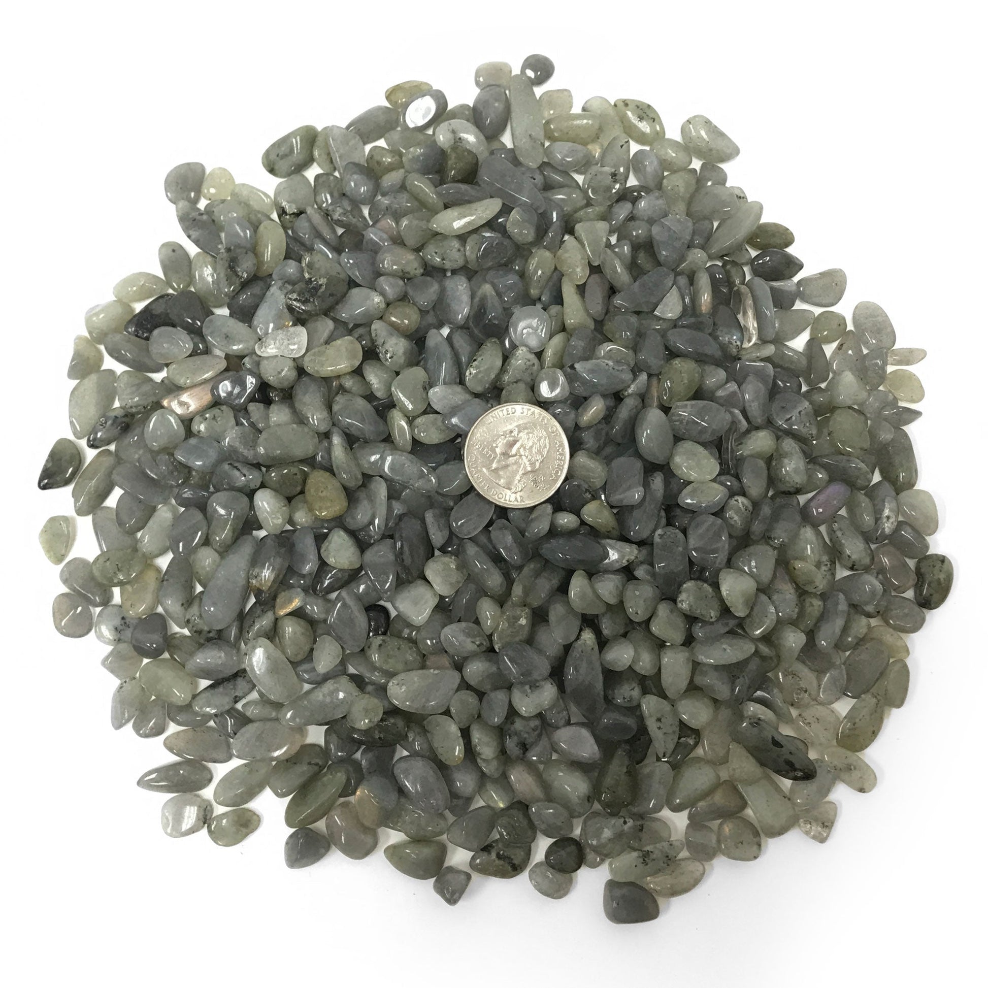 Natural Labradorite Tumbled Chips - Gem Avenue