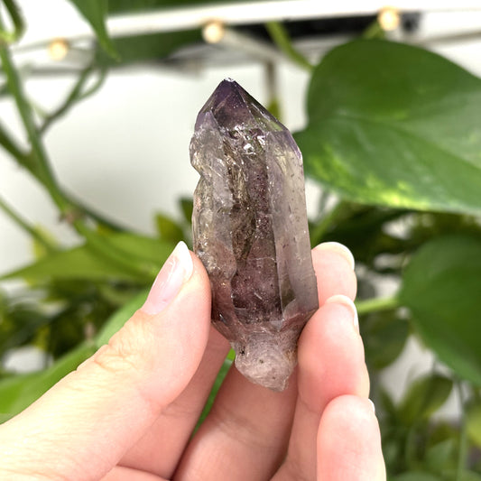 Amethyst Smoky Quartz Scepter Crystal Gemstone - Gem Avenue 