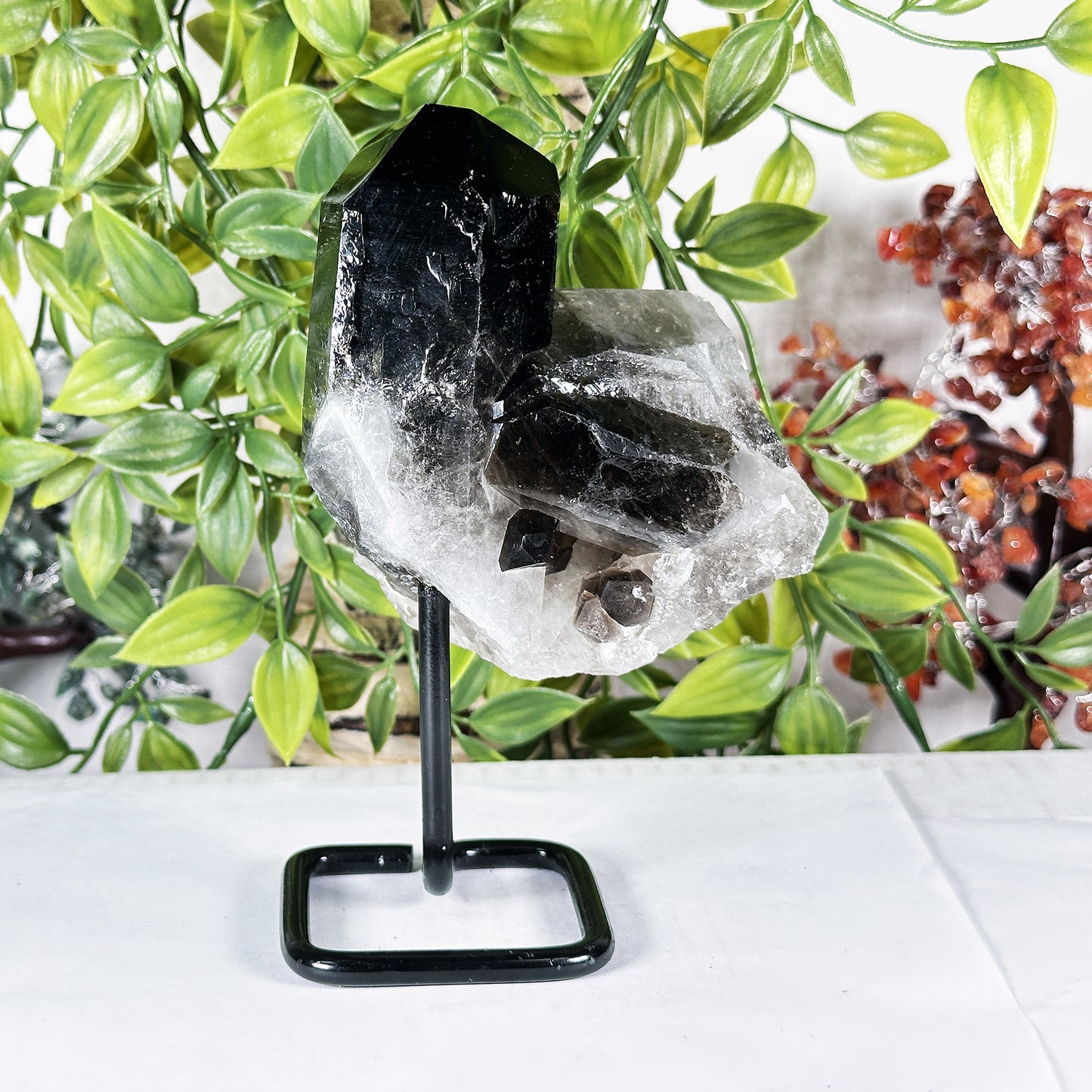 Natural Smoky Quartz Crystal Cluster on Stand Raw Healing Stone Display - RCR471