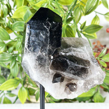Natural Smoky Quartz Crystal Cluster on Stand Raw Healing Stone Display - RCR471