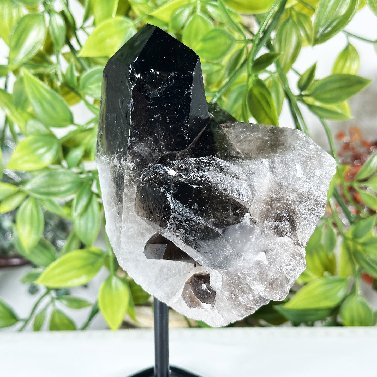 Natural Smoky Quartz Crystal Cluster on Stand Raw Healing Stone Display - RCR471