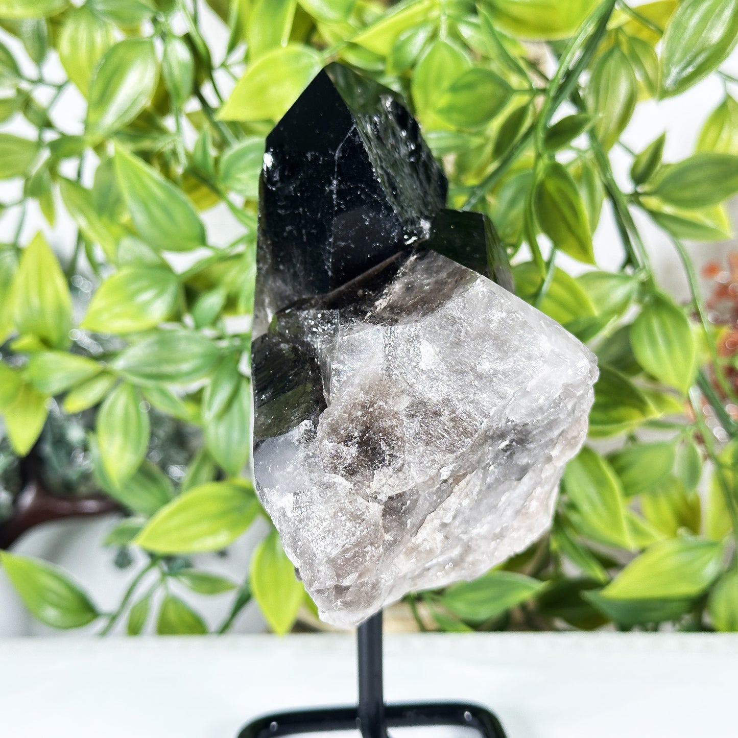 Natural Smoky Quartz Crystal Cluster on Stand Raw Healing Stone Display - RCR471