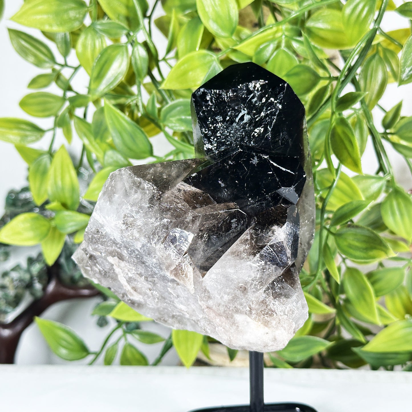 Natural Smoky Quartz Crystal Cluster on Stand Raw Healing Stone Display - RCR471