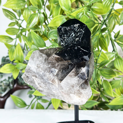 Natural Smoky Quartz Crystal Cluster on Stand Raw Healing Stone Display - RCR471