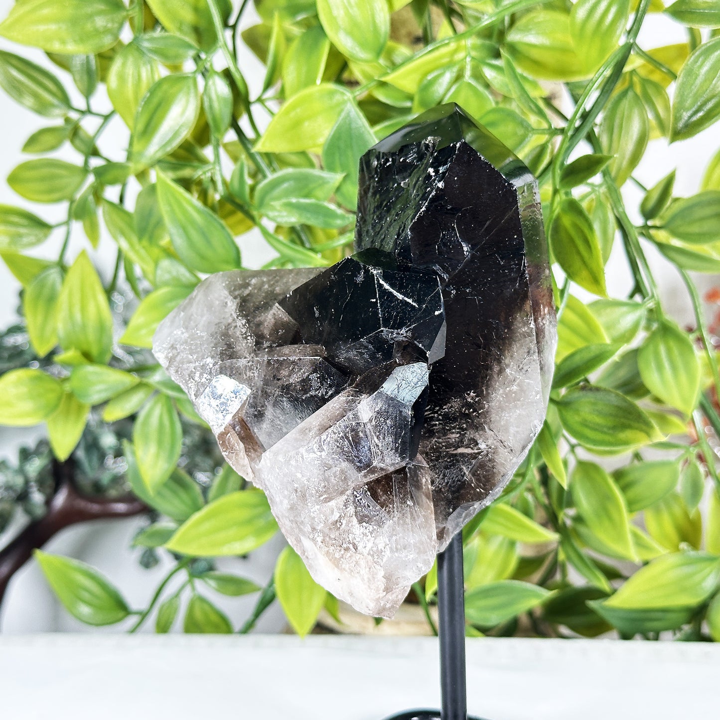 Natural Smoky Quartz Crystal Cluster on Stand Raw Healing Stone Display - RCR471