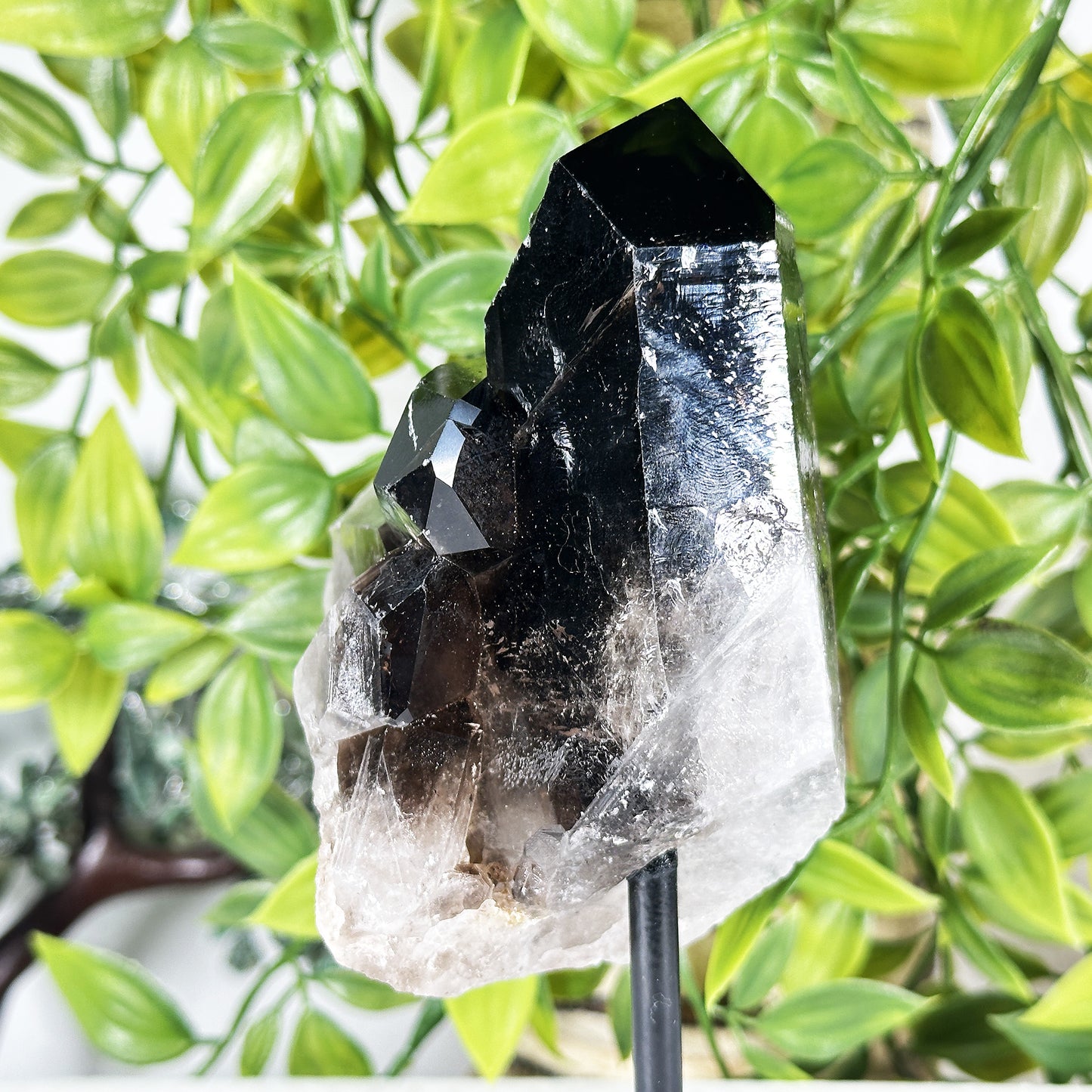 Natural Smoky Quartz Crystal Cluster on Stand Raw Healing Stone Display - RCR471