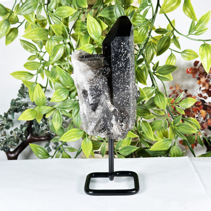 Smoky Quartz Crystal Point on Stand Natural Raw Healing Stone Display - RCR472