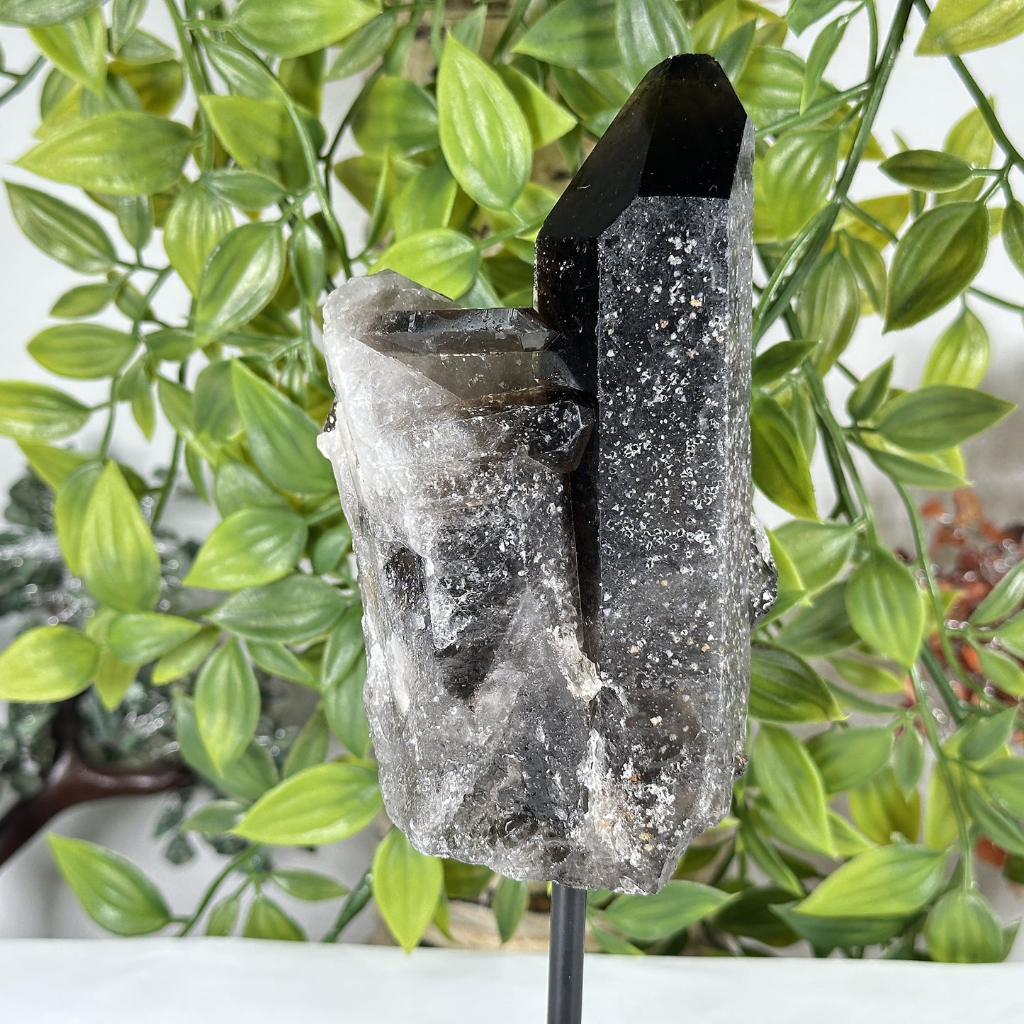 Smoky Quartz Crystal Point on Stand Natural Raw Healing Stone Display - RCR472