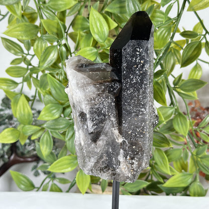 Smoky Quartz Crystal Point on Stand Natural Raw Healing Stone Display - RCR472
