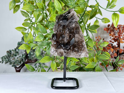 Natural Smoky Quartz Crystal Cluster on Metal Display Stand - RCR474