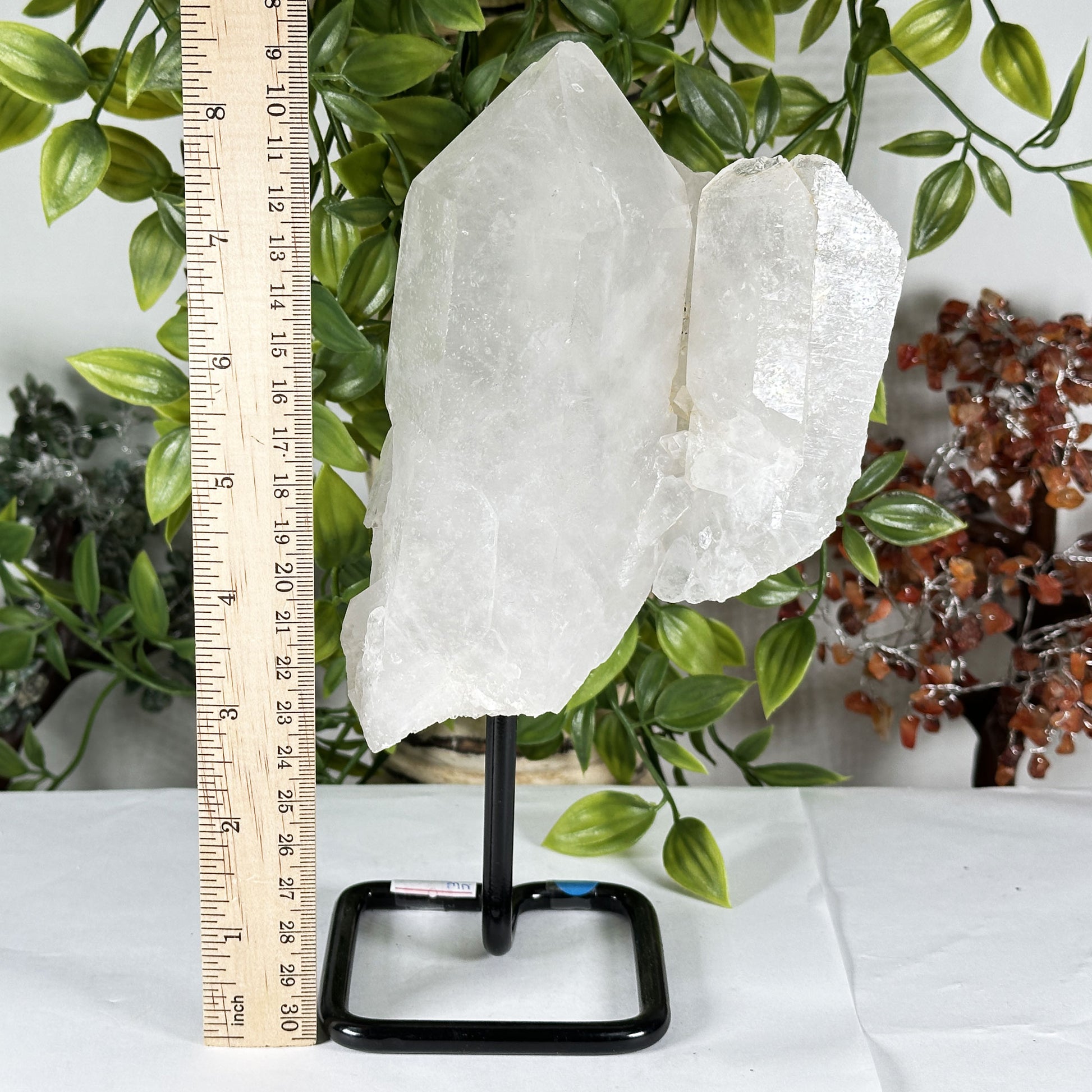 Clear Quartz Crystal - Gem Avenue Retail