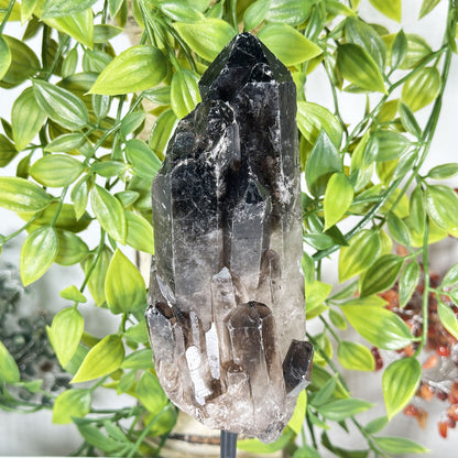 Natural Smoky Quartz Crystal - Gem Avenue Retail