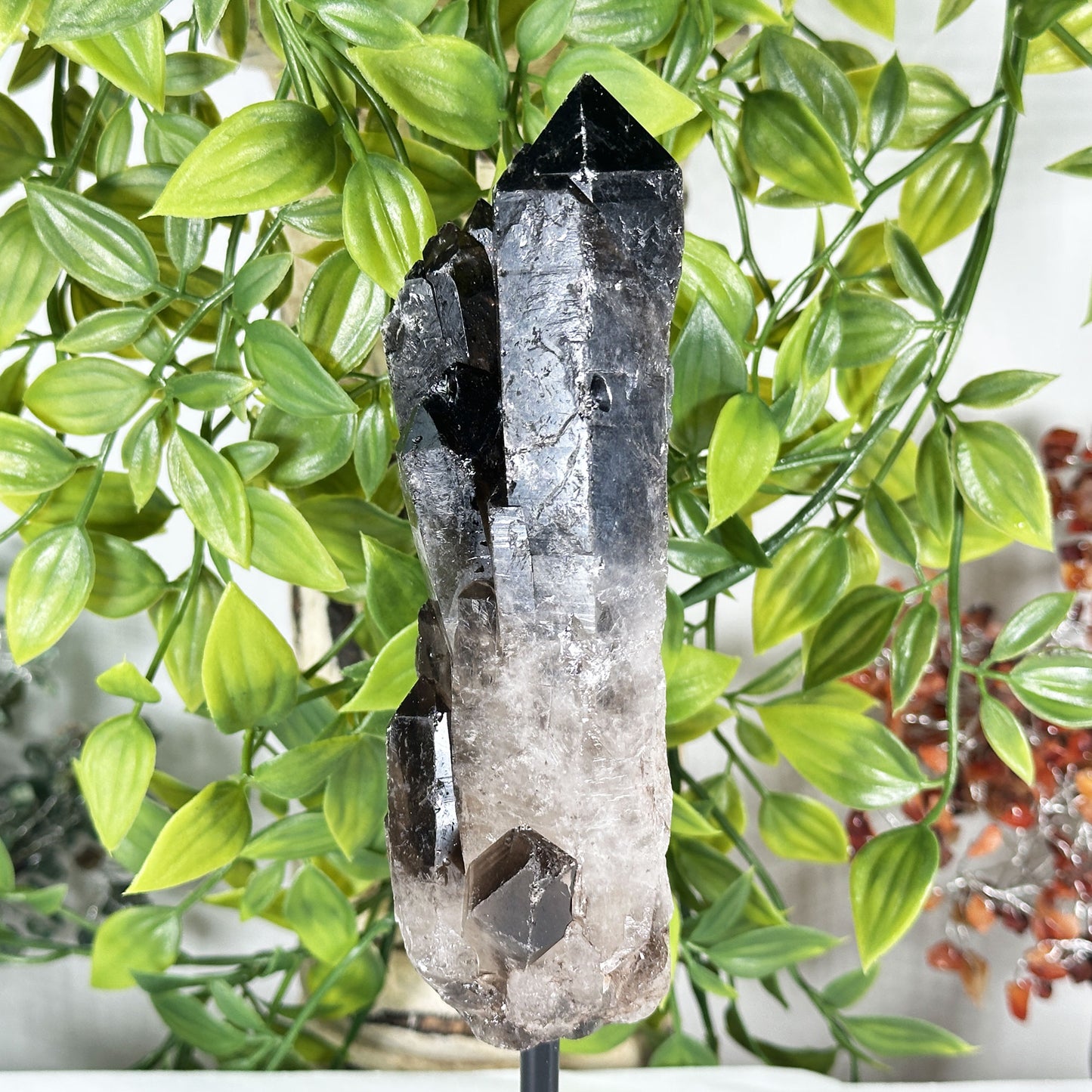 Natural Smoky Quartz Crystal - Gem Avenue Retail