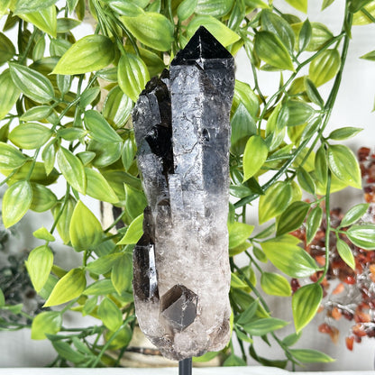 Natural Smoky Quartz Crystal - Gem Avenue Retail