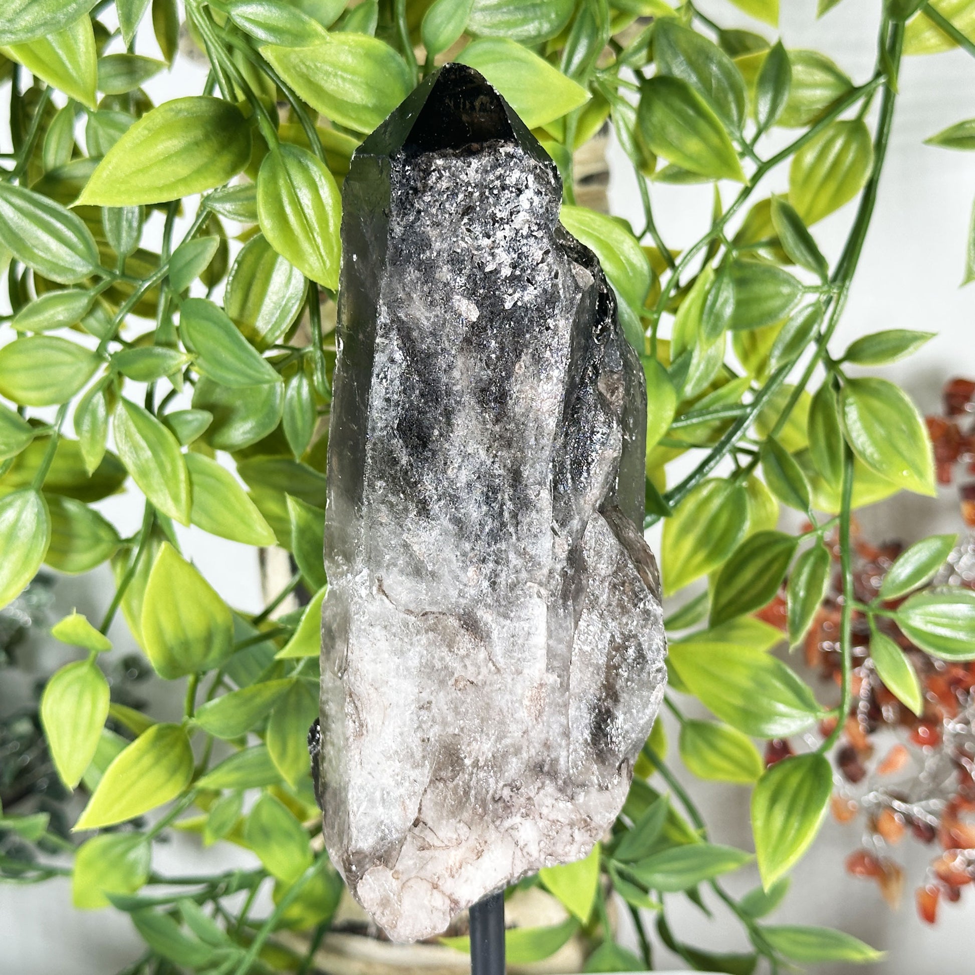 Natural Smoky Quartz Crystal - Gem Avenue Retail