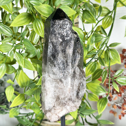 Natural Smoky Quartz Crystal - Gem Avenue Retail