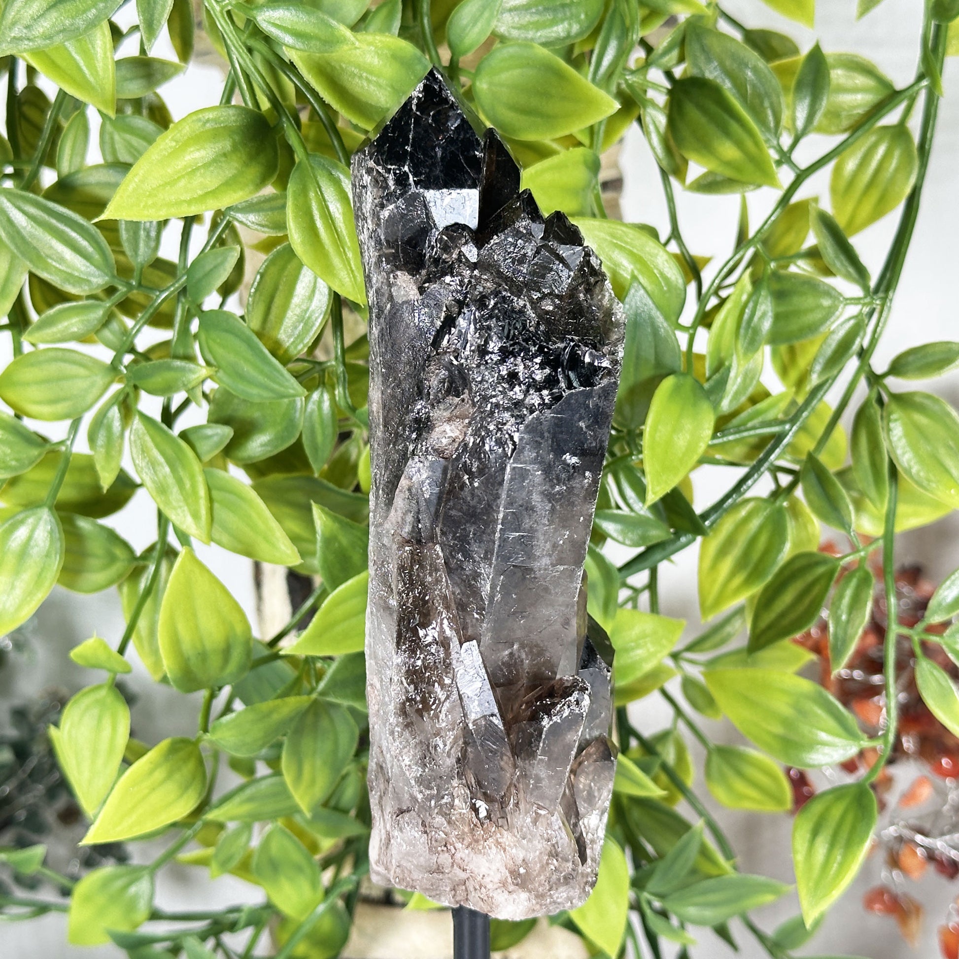 Natural Smoky Quartz Crystal - Gem Avenue Retail
