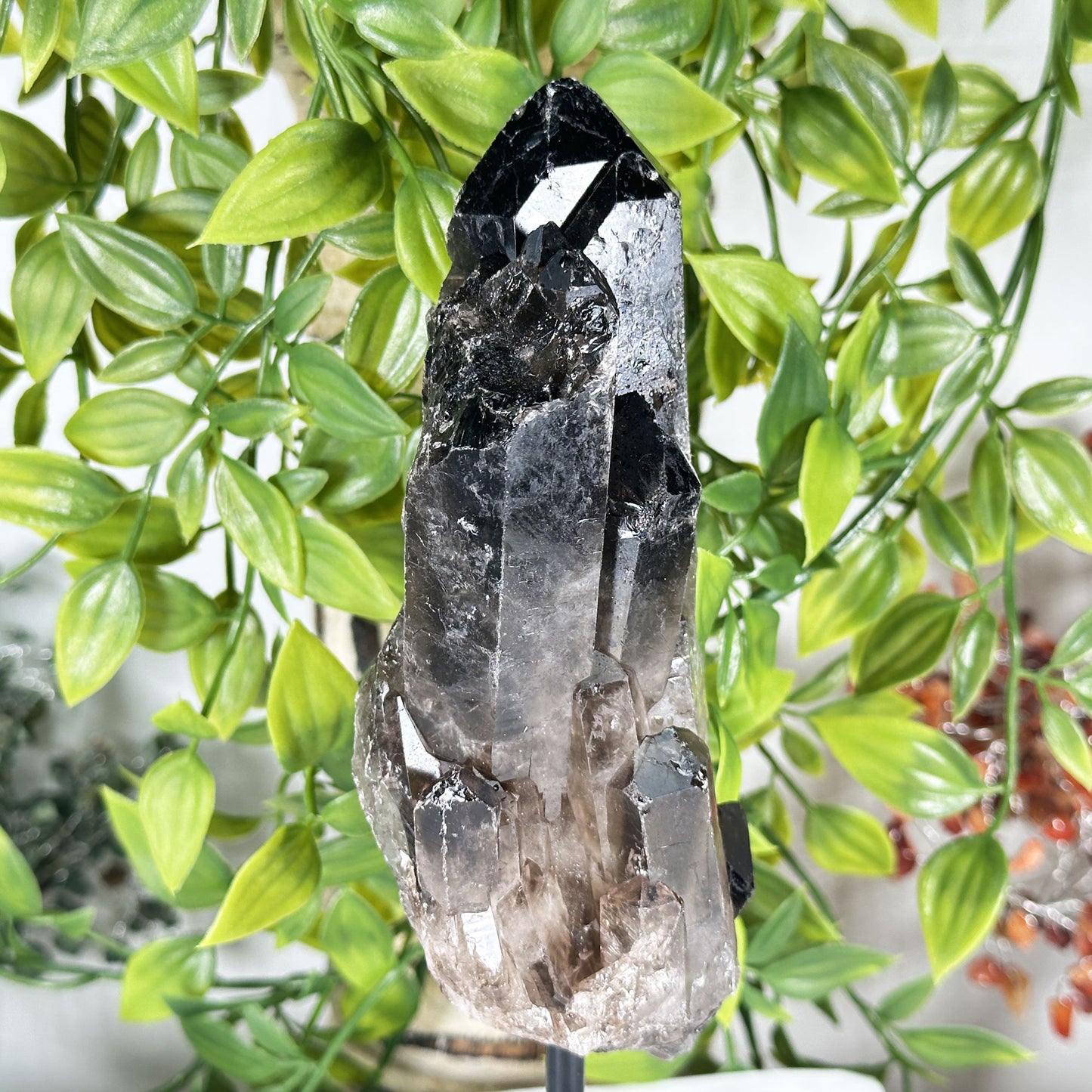 Natural Smoky Quartz Crystal - Gem Avenue Retail