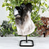 Natural Smoky Quartz Cluster Specimen with Metal Stand Polished Crystal Display Piece