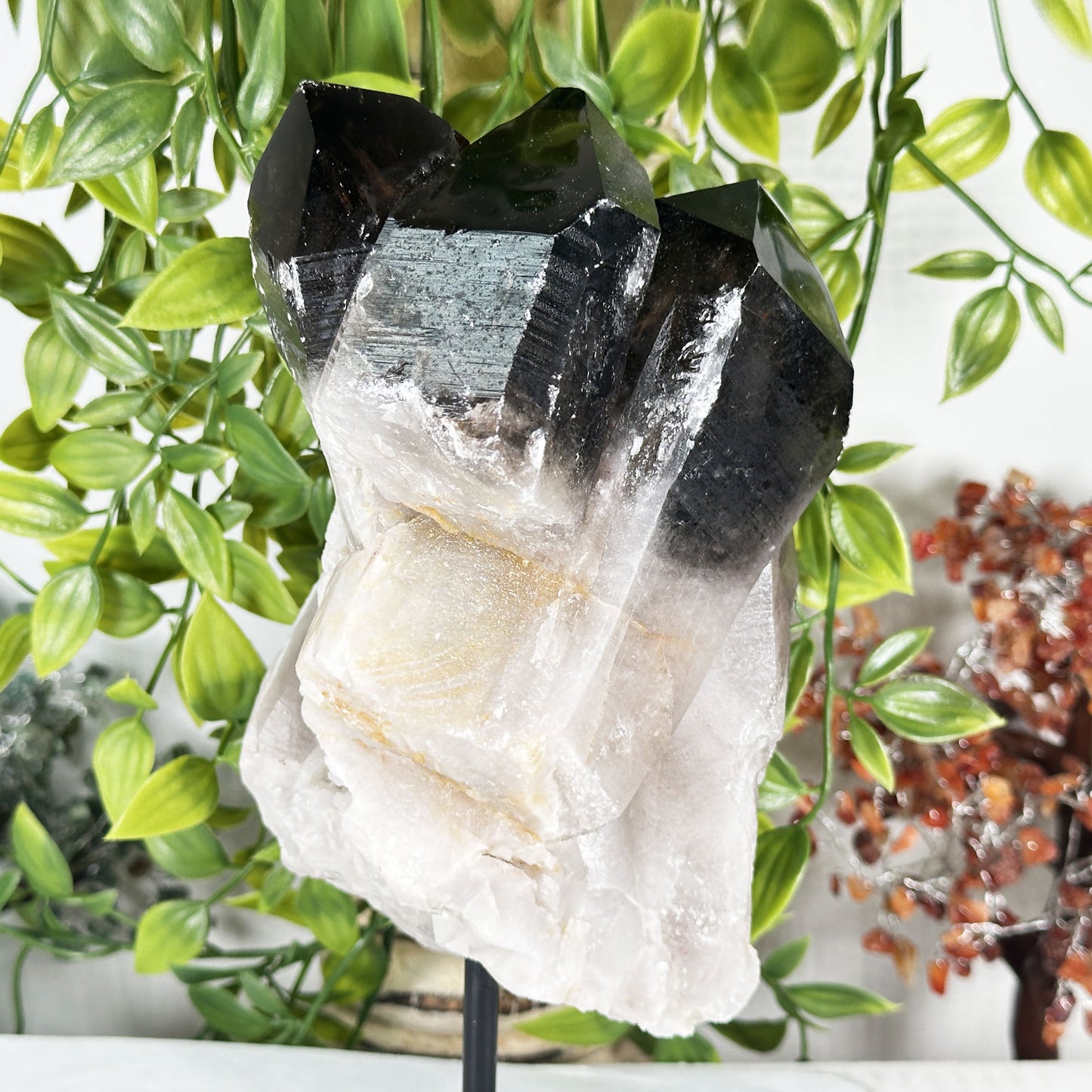 Natural Smoky Quartz Cluster Specimen with Metal Stand Polished Crystal Display Piece