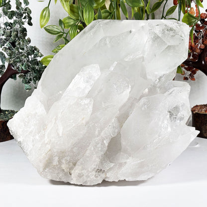 Clear Quartz Crystal - Gem Avenue Retail