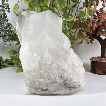 Clear Quartz Crystal - Gem Avenue Retail