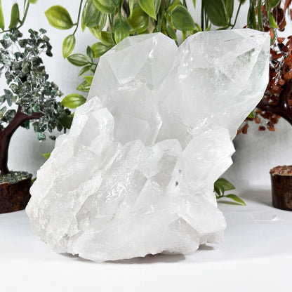 Clear Quartz Crystal - Gem Avenue Retail