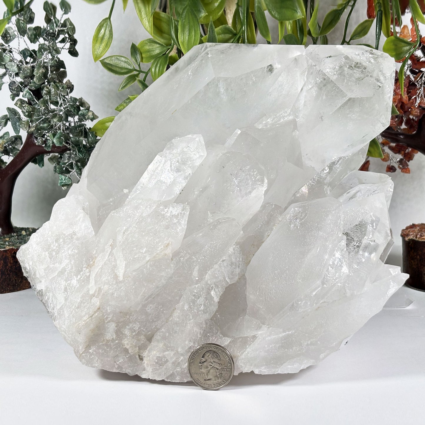 Clear Quartz Crystal - Gem Avenue Retail