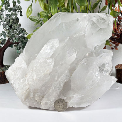Clear Quartz Crystal - Gem Avenue Retail