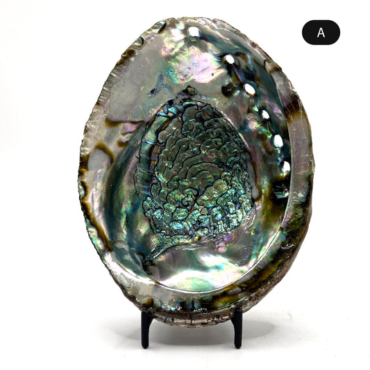 Natural Polished Abalone Shell with Iridescent Colors for Smudging, Home Decor & Crystal Display - RFL021