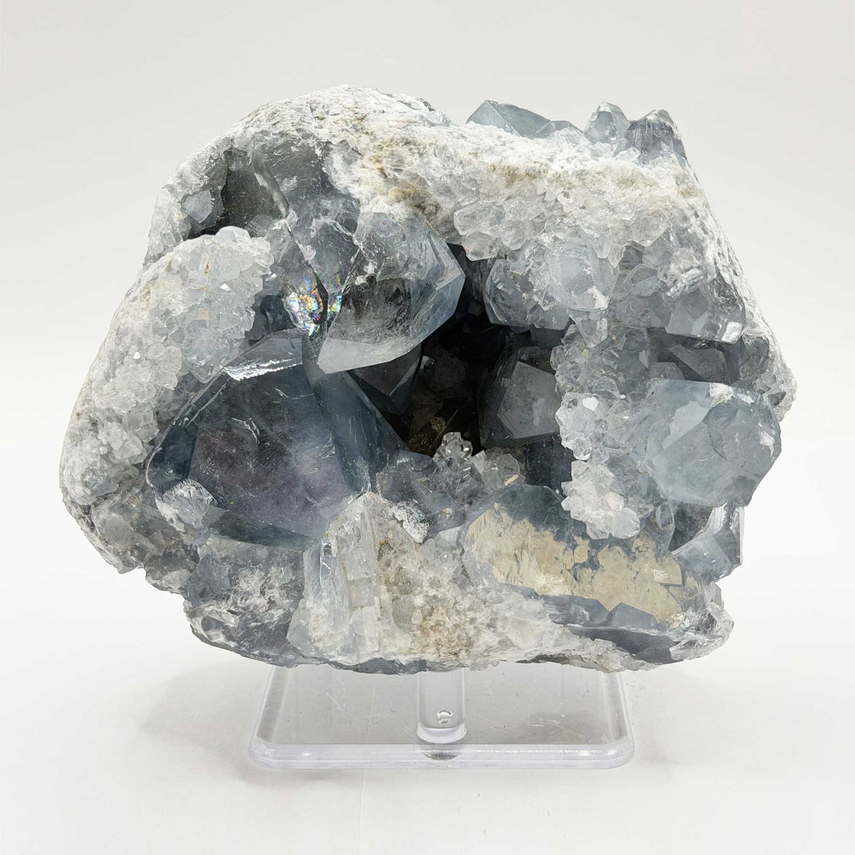 Natural Celestite Geode - Gem Avenue Retail