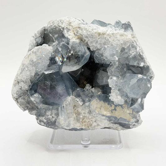 Natural Celestite Geode - Gem Avenue Retail