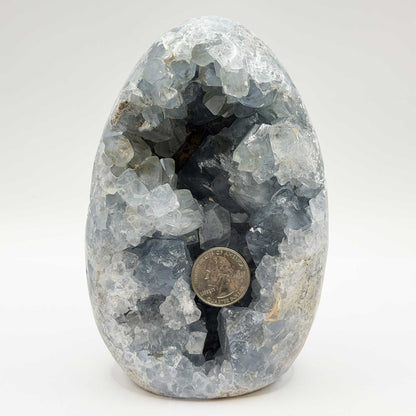 Natural Celestite Crystal Geode - Gem Avenue
