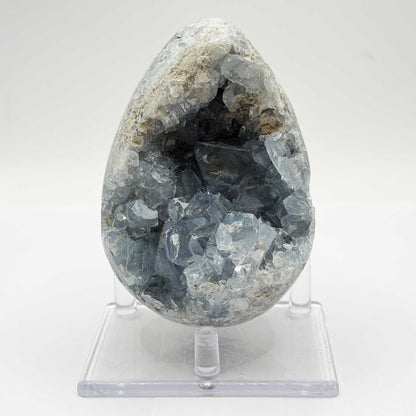Celestite Crystal Geode - Gem Avenue Retail