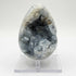 Celestite Geode 3.5" Natural Blue Crystal Cluster Gemstone