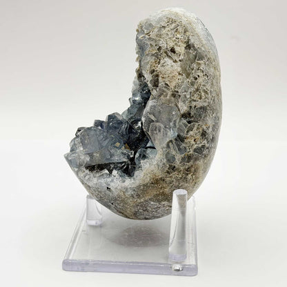 Celestite Crystal Geode - Gem Avenue Retail