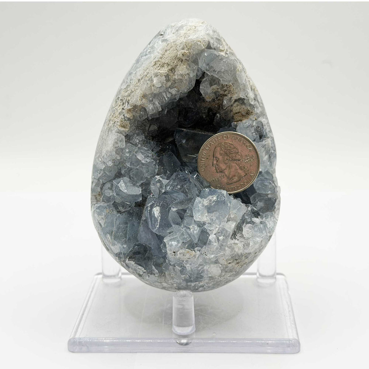 Celestite Crystal Geode - Gem Avenue Retail