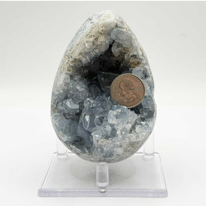 Celestite Crystal Geode - Gem Avenue Retail