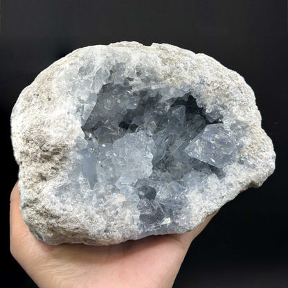 Celestite Crystal Geode - Gem Avenue Retail