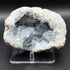 Celestite Geode 4" Natural Blue Crystal Cluster Gemstone